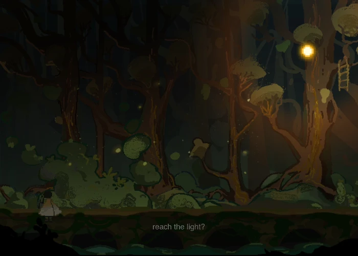 A Light In The Forest