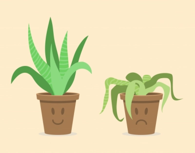 Water The Plant!
